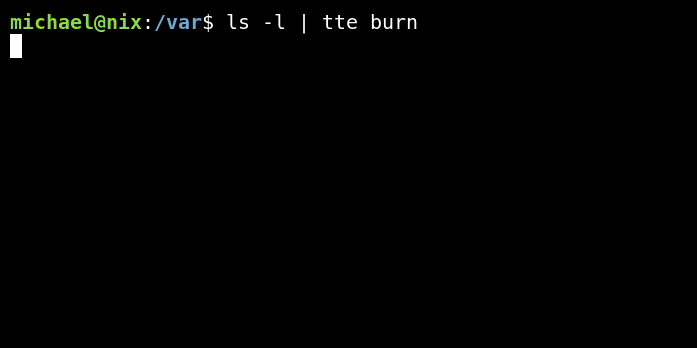 burn_example