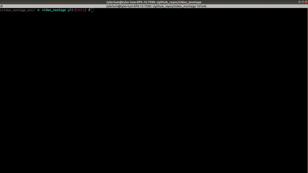 example_video_montage