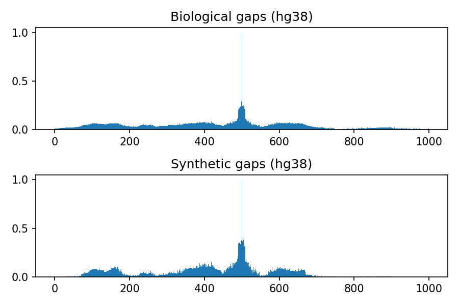 https://github.com/LucaCappelletti94/keras_synthetic_genome_sequence/blob/master/distributions/hg38.png?raw=true