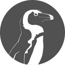 Avatar for Marc Harkonen from gravatar.com