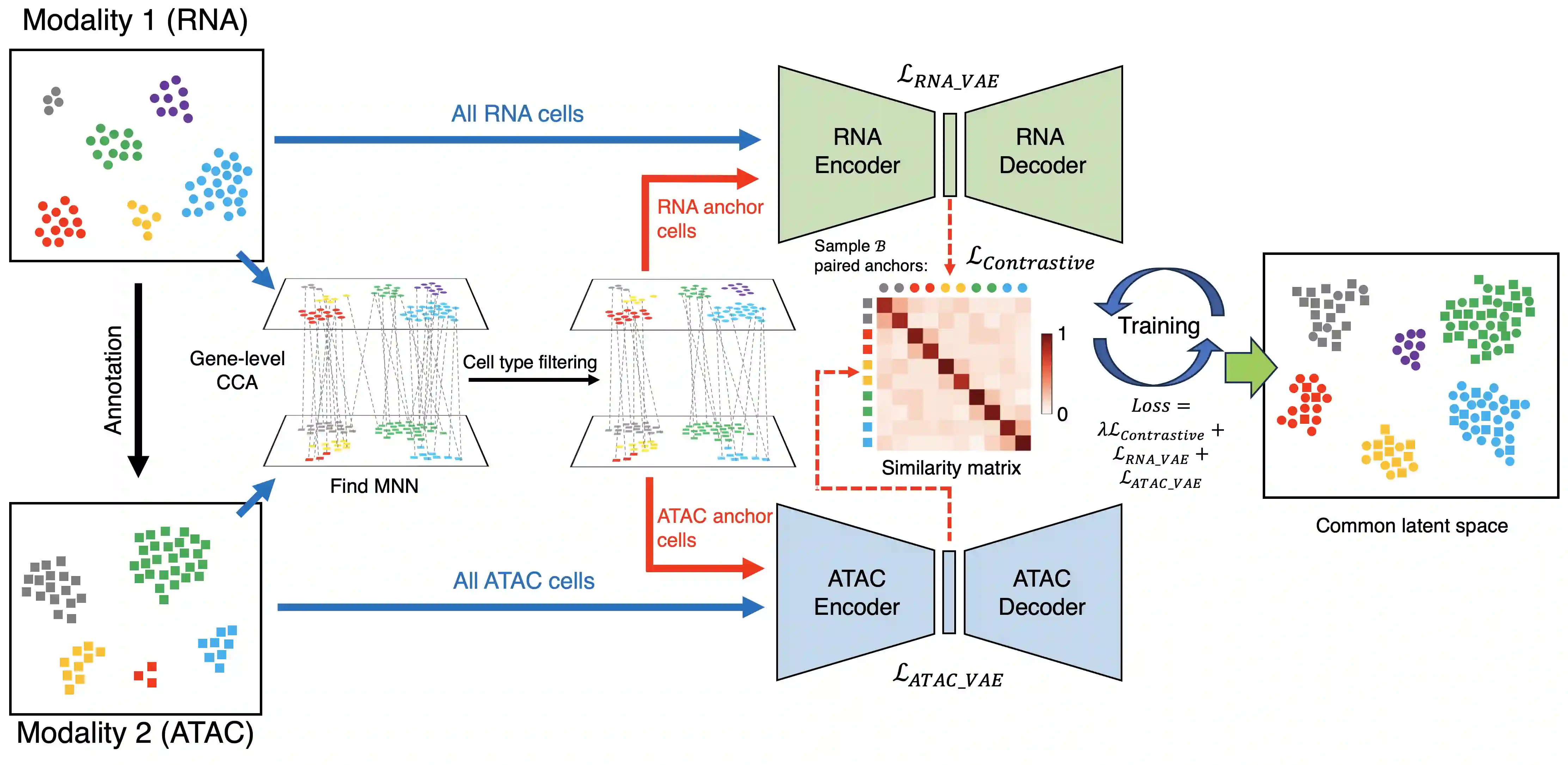 scMIAC framework overview