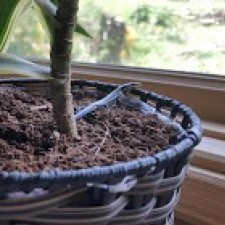 Avatar for Nicholas Bishop from gravatar.com