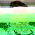 Avatar for JasonTheDeveloper from gravatar.com