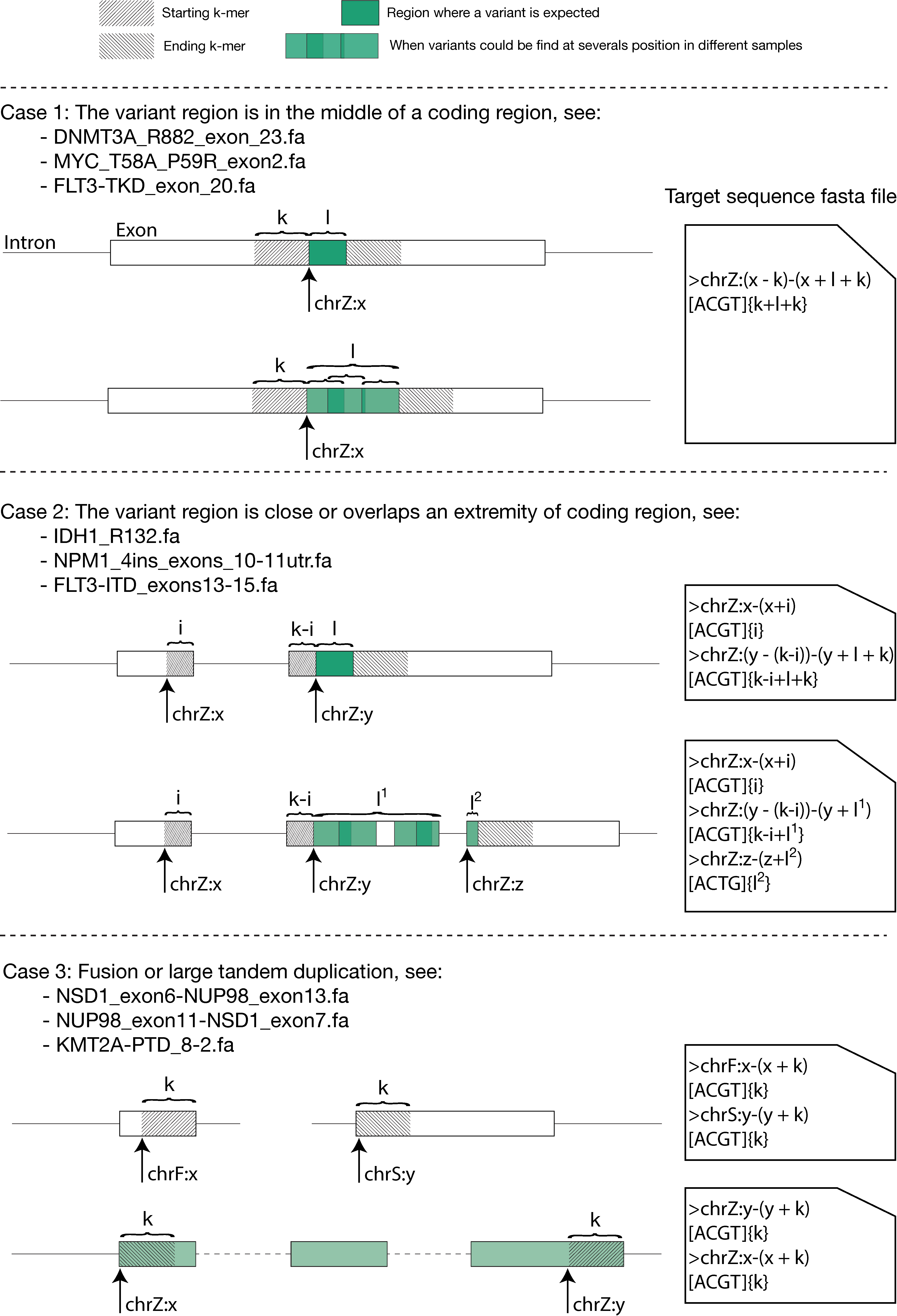 https://raw.githubusercontent.com/iric-soft/km/master/data/figure/doc_target_sequence.png