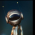 Avatar for nkalfa from gravatar.com