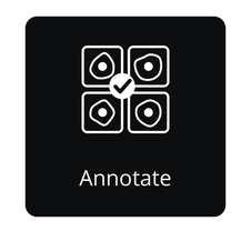 Open the Annotate API