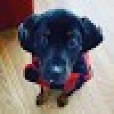 Avatar for Dylan Bruner from gravatar.com