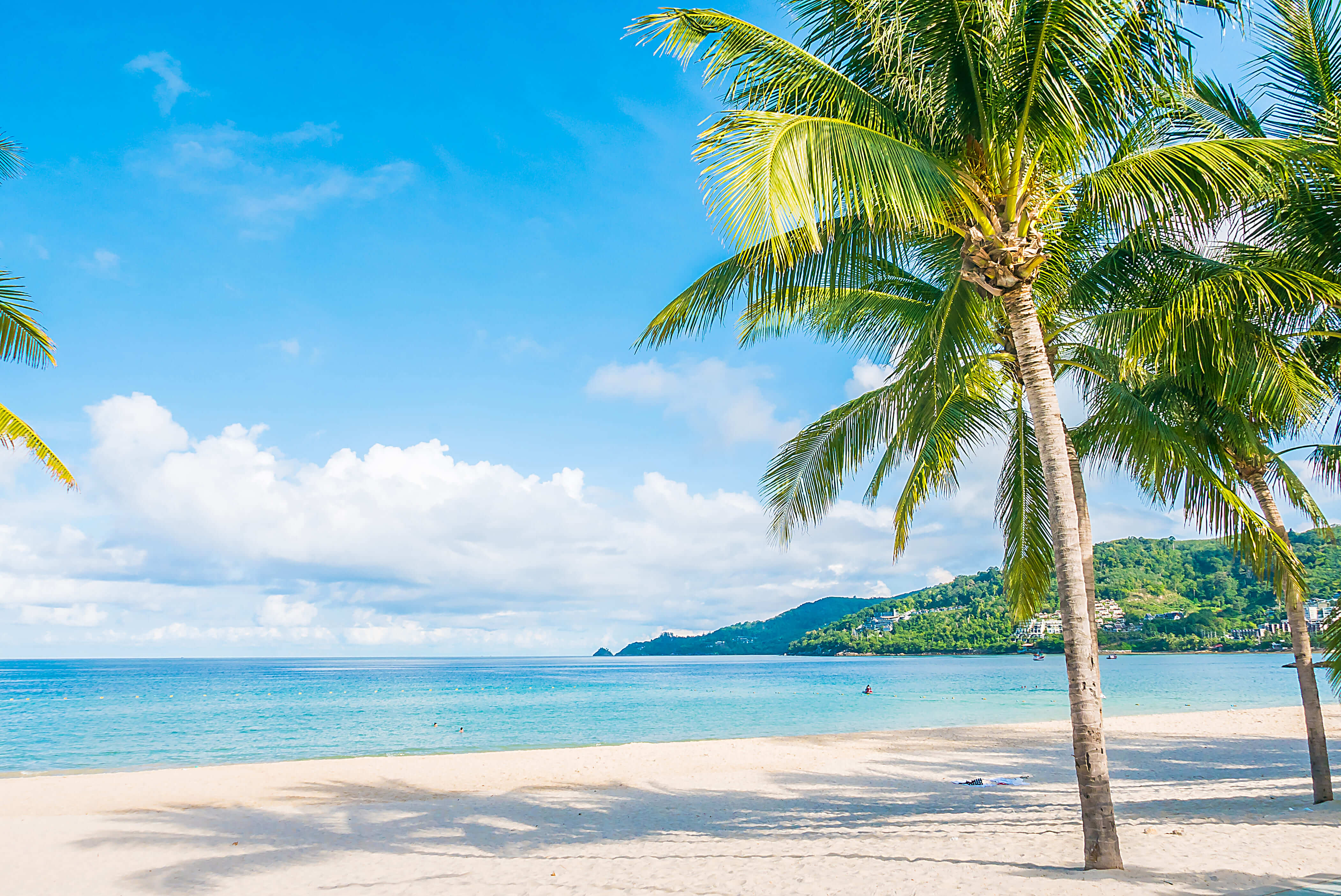 summer beach