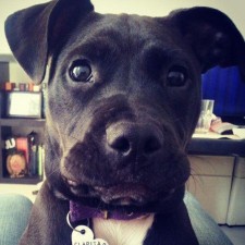 Avatar for fedemotta from gravatar.com