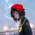 Avatar for janust from gravatar.com