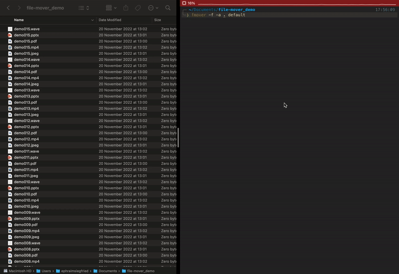 A demo of fmover moving files in a directory