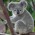 Avatar for mcgallant72 from gravatar.com