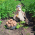 Avatar for eniktab from gravatar.com