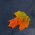 Avatar for be1 from gravatar.com