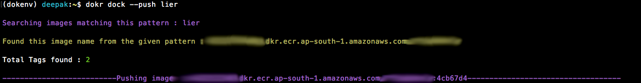 alt dokr_aws_ip