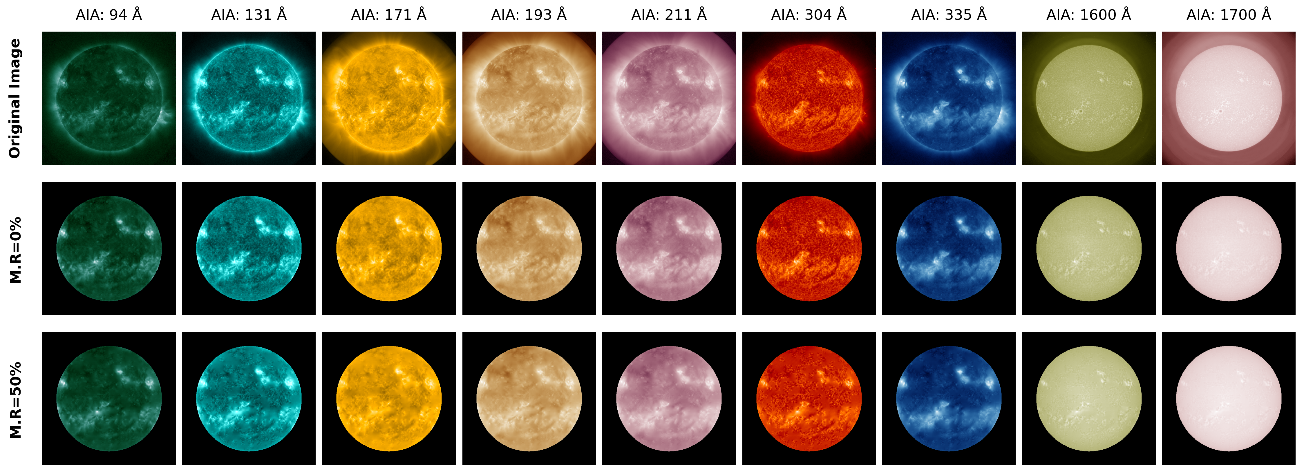 Sample Visualization