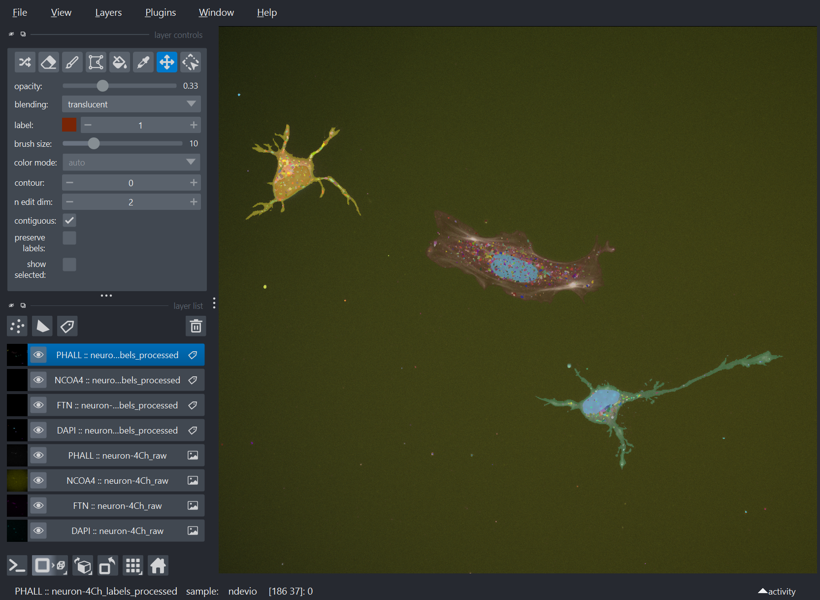 4 Channel 2D neural cells with segmentation labels