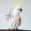 Avatar for lmieth from gravatar.com