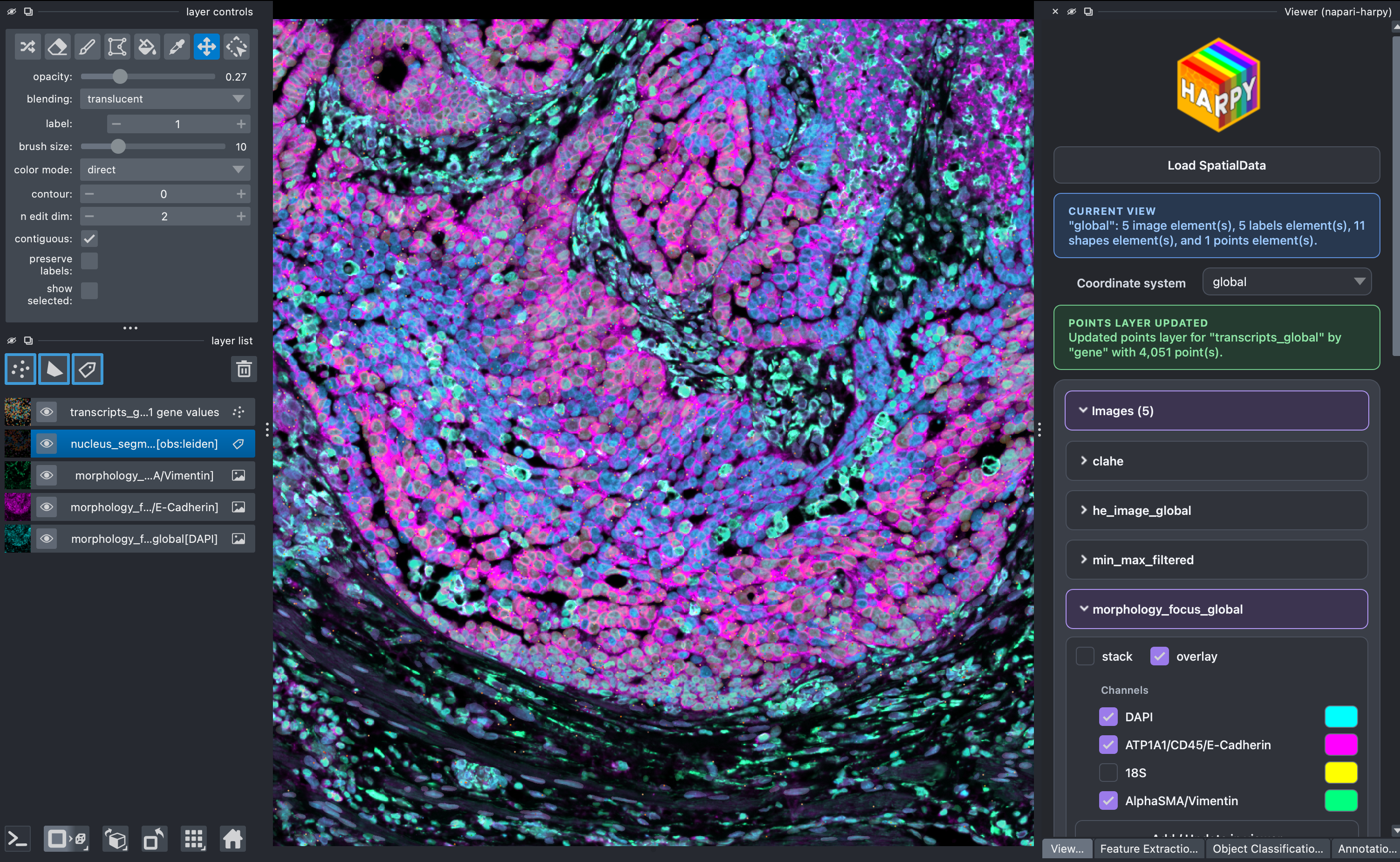 napari-harpy viewer example screenshot