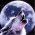 Avatar for Aitron from gravatar.com