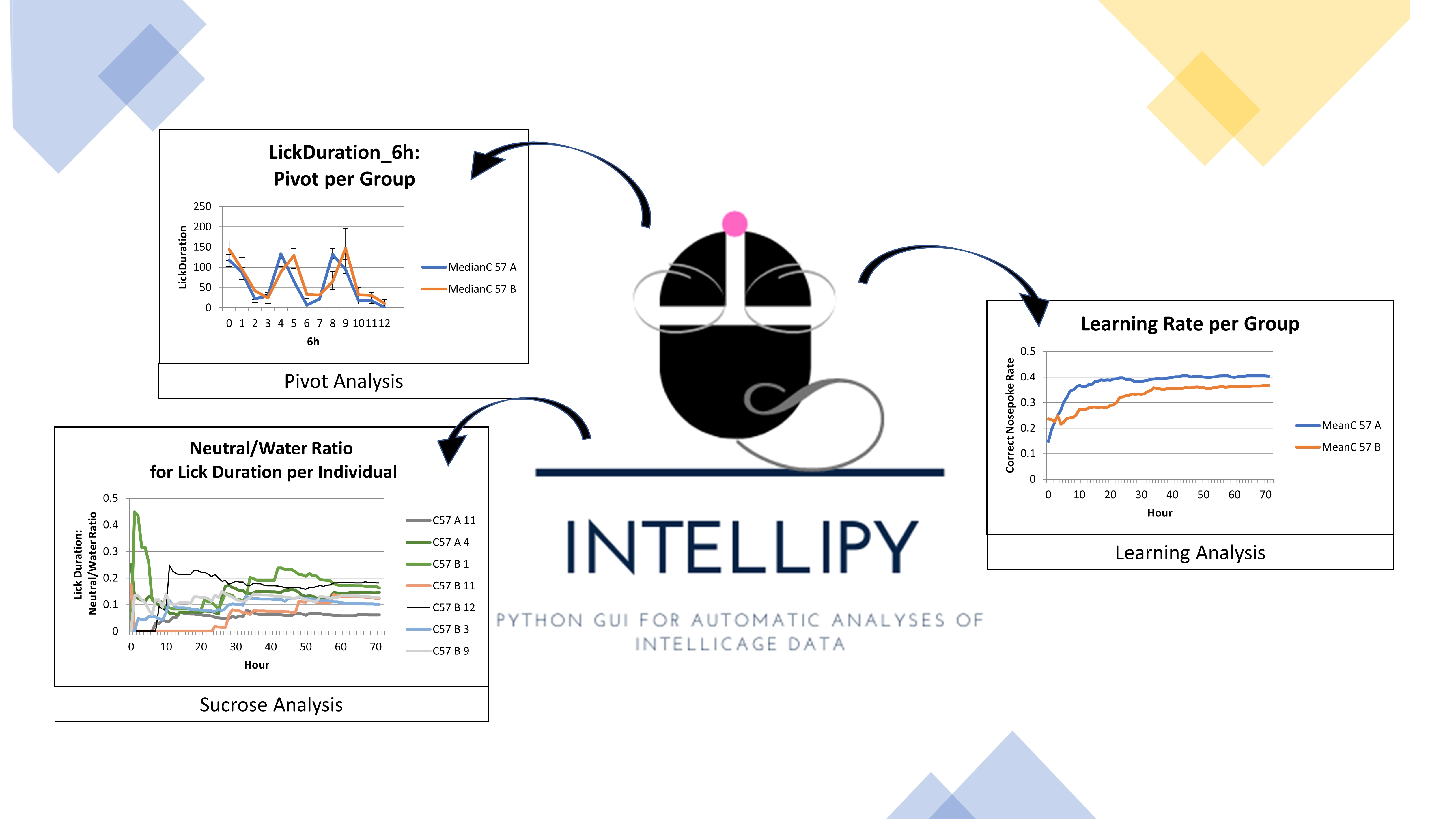 Analyses Overview