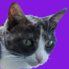 Avatar for Gregory Miller from gravatar.com