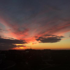 Avatar for ZHS from gravatar.com