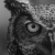Avatar for h4ck3r from gravatar.com