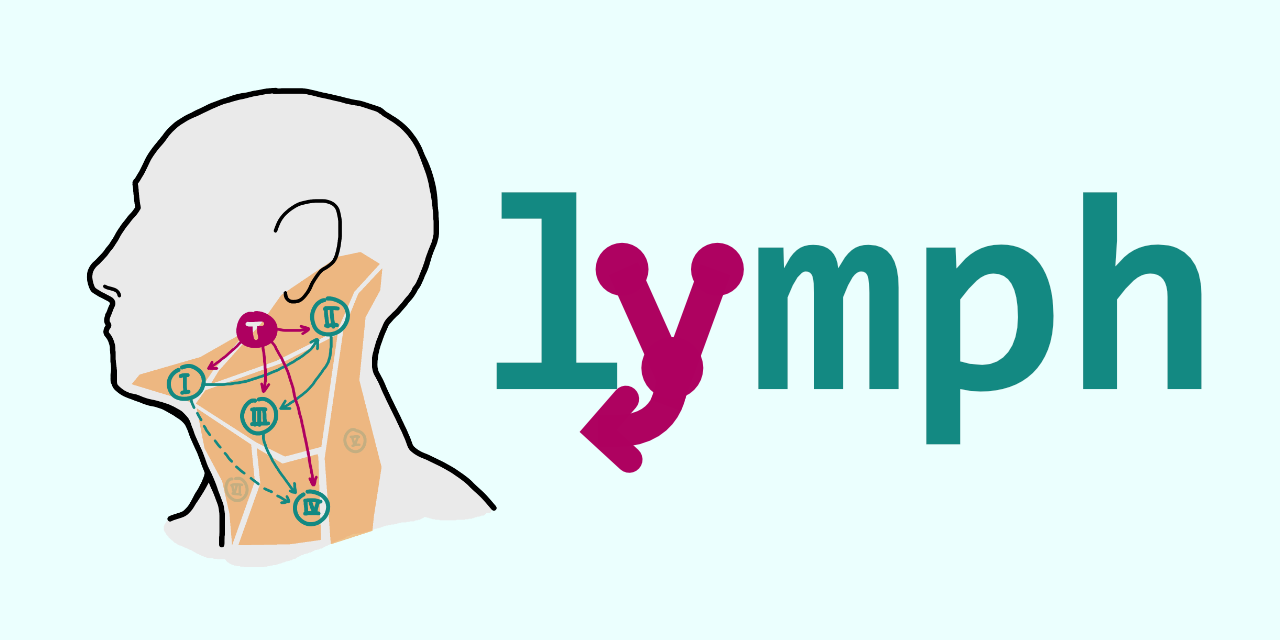 https://raw.githubusercontent.com/lycosystem/lymph/main/github-social-card.png