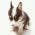 Avatar for zrong from gravatar.com