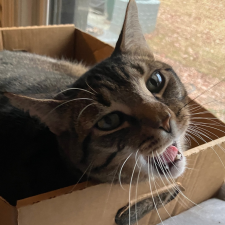 Avatar for Katie from gravatar.com