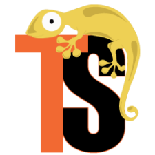 Avatar for Victoe Henriquez from gravatar.com