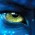 Avatar for hsputra from gravatar.com