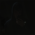 Avatar for floxay from gravatar.com