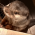 Avatar for thibaud-brrd from gravatar.com