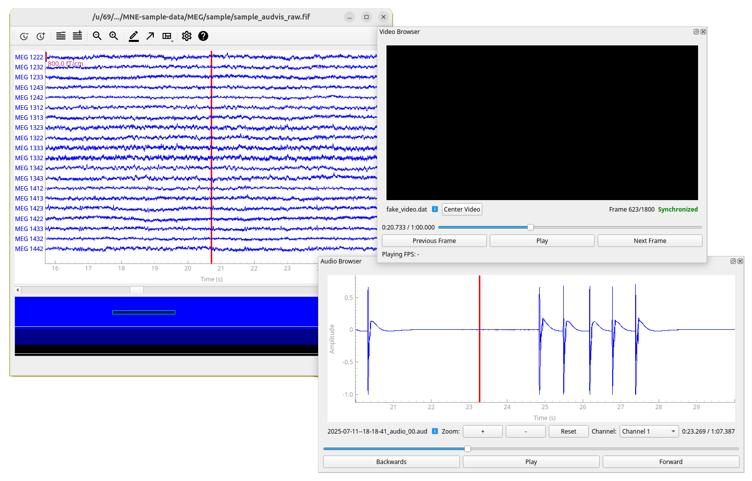 VideoMEG browser screenshot