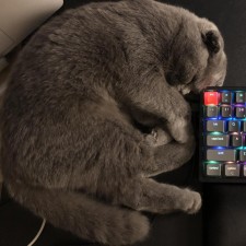 Avatar for Mazyad Alabduljaleel from gravatar.com