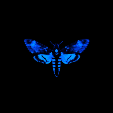 Avatar for Inan from gravatar.com