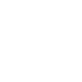 AIMLite Logo