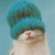 Avatar for brennhill from gravatar.com