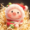 Avatar for chhsiching from gravatar.com