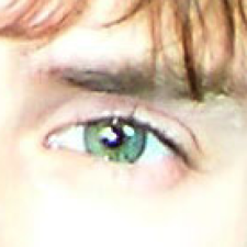 Avatar for Vitalii Stepanenko from gravatar.com