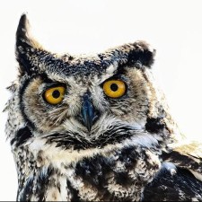 Avatar for Kristian Berg from gravatar.com