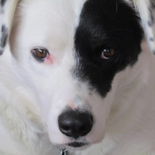 Avatar for jgreen from gravatar.com