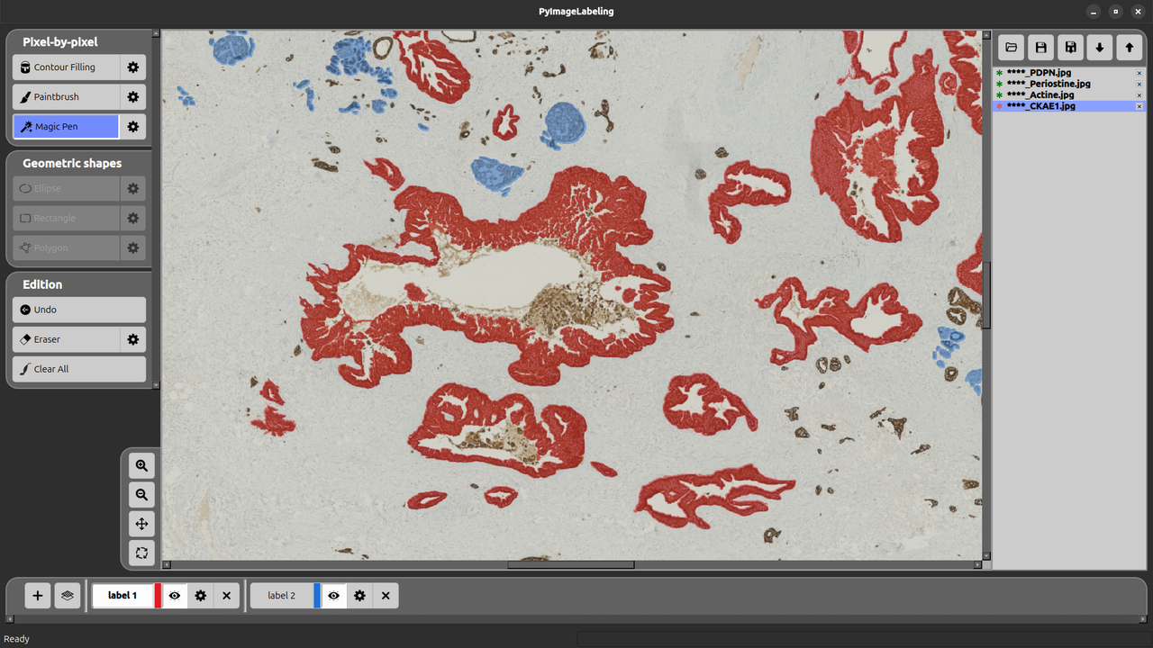 PyImageLabeling Interface