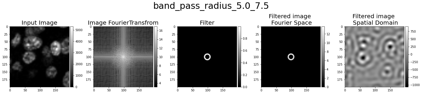 Band pass 5