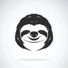 Avatar for Anmol Durgapal from gravatar.com