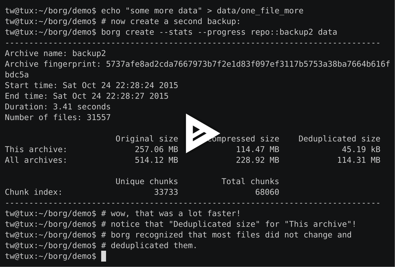 BorgBackup Installation and Basic Usage