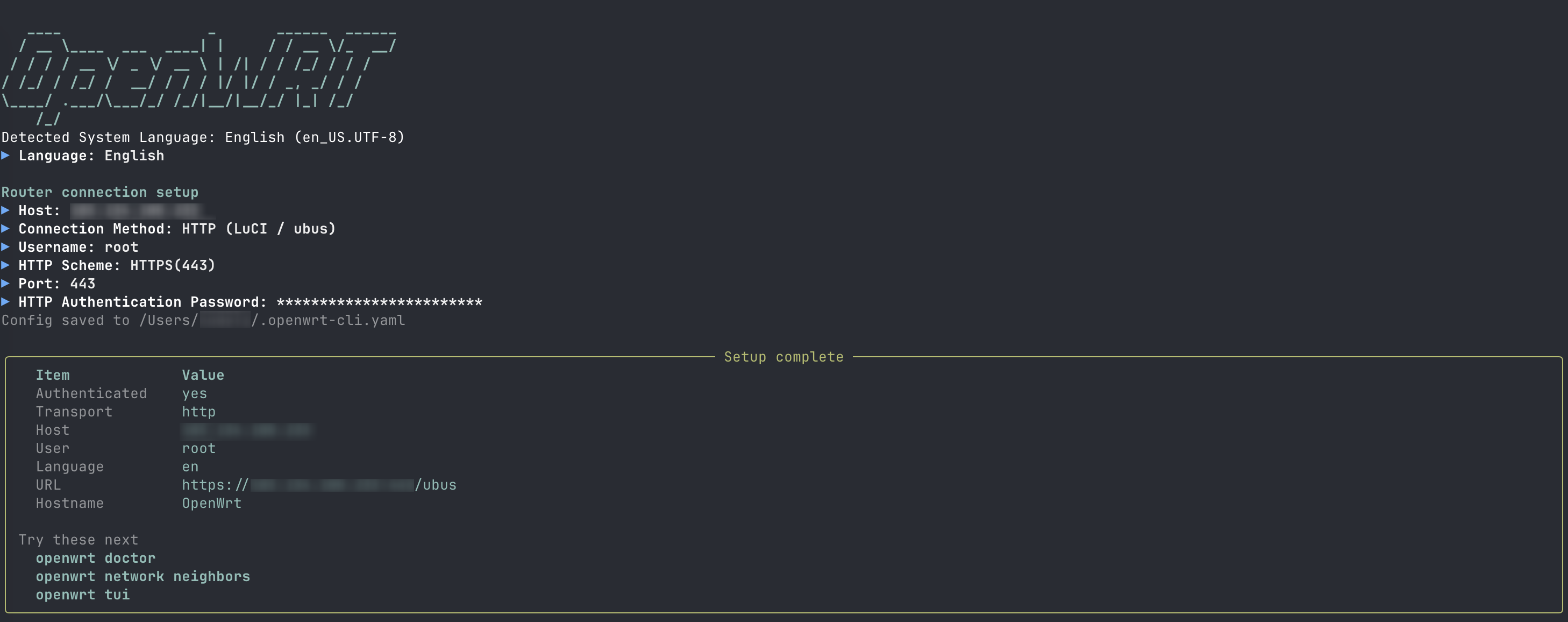 openwrt setup — language and connection wizard
