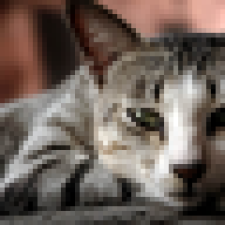 Avatar for Elron from gravatar.com